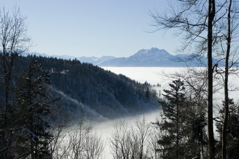 Endlich über dem Nebel