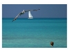 Varadero