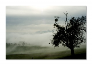 Nebelschwaden über dem Säuliamt