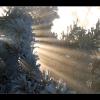 Sonnenstrahlen und Frost