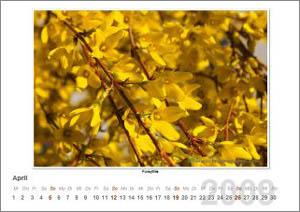 Kalenderblatt April 2009