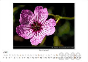 Kalenderblatt Juni 2009