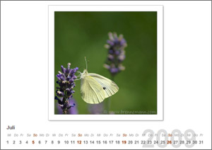 Kalenderblatt Juli 2009