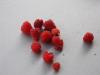 die letzten Himbeeren